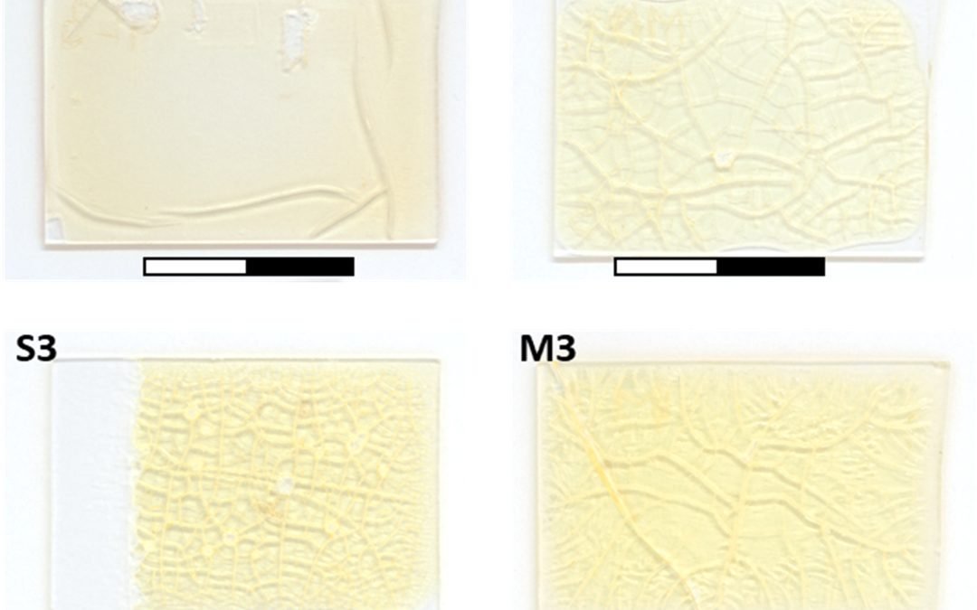 In-depth structural and compositional assessment of aged terpenoid varnish layers by nonlinear optical microscopy