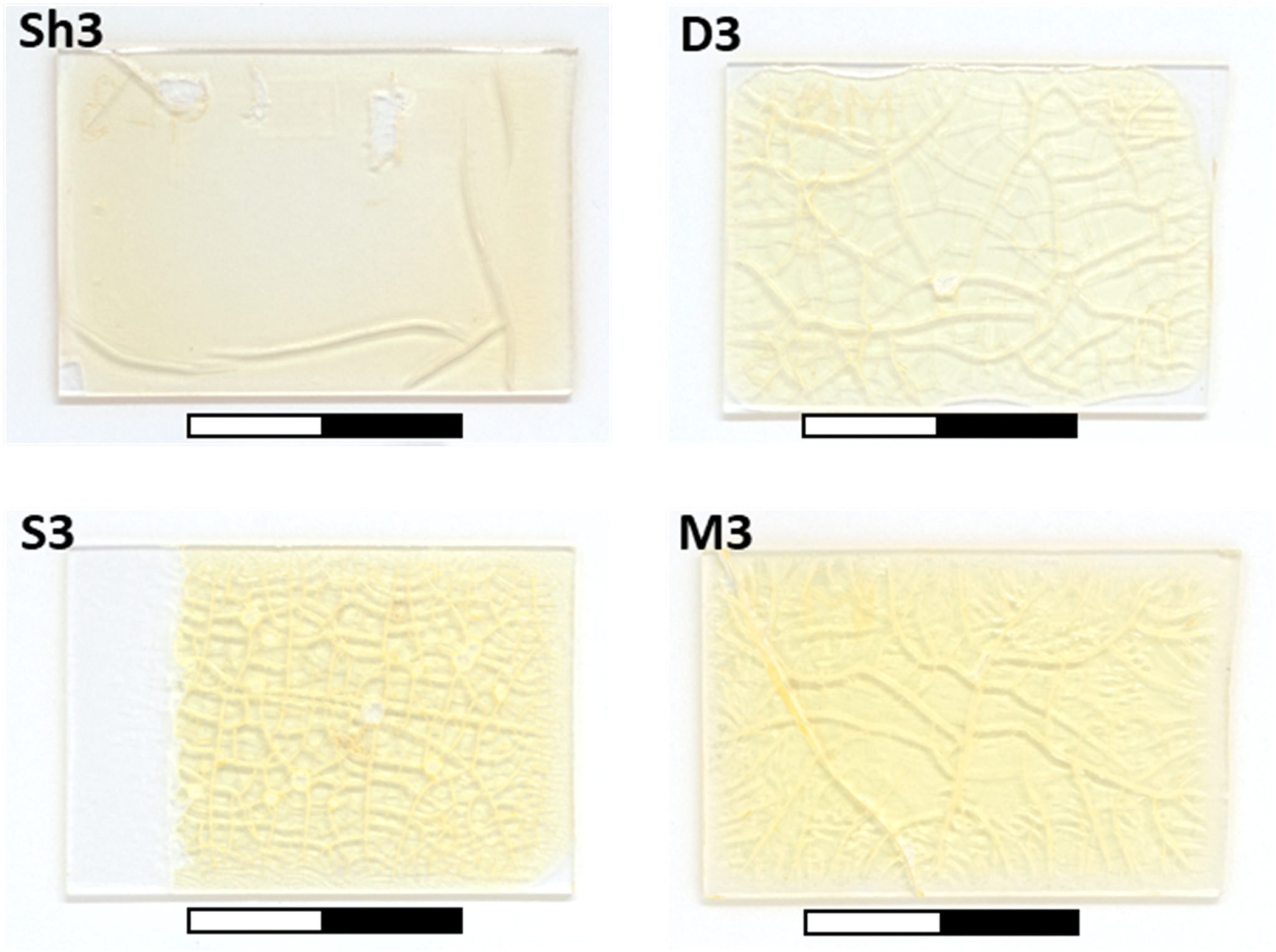 In-depth structural and compositional assessment of aged terpenoid varnish layers by nonlinear optical microscopy