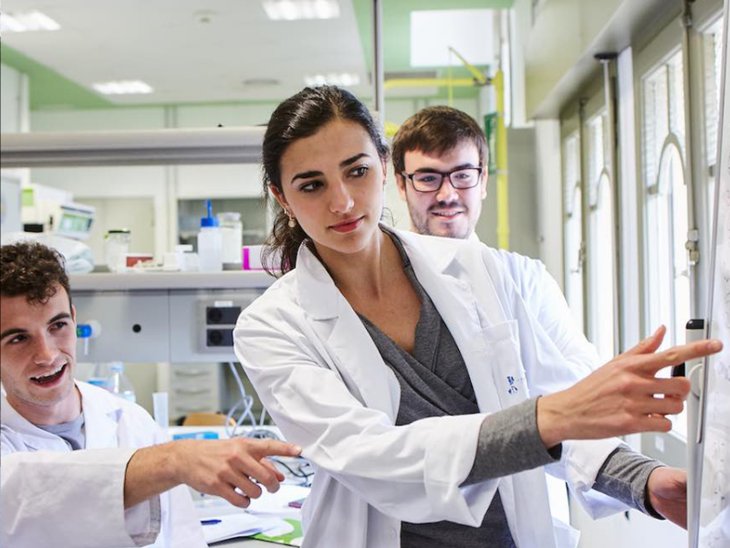 Open position at the University of Barcelona as a Lecturer of Organic Chemistry applied to Cultural Heritage| Deadline: May 29, 2025