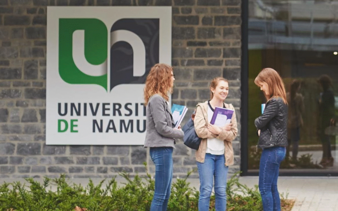 Postdoc position (AI expert) in Cultural Heritage Science at the University of Namur | Belgium | Deadline on November 30th 2025