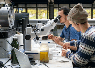 Postdoctoral Research Position in Hyperspectral Imaging Application and Data Analysis in Heritage Science | Technical University of Munich (TUM) | Deadline: 31 January 2026