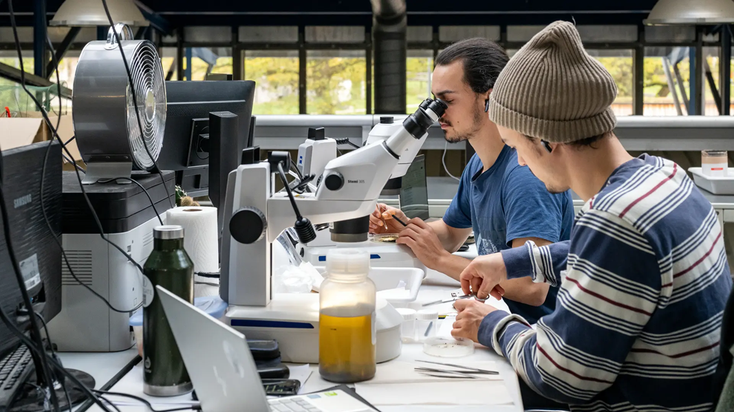 Postdoctoral Research Position in Hyperspectral Imaging Application and Data Analysis in Heritage Science | Technical University of Munich (TUM) | Deadline: 31 January 2026