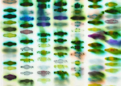 Can Science and Conservation Research be Green? 